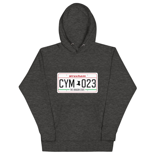THE DRAGON STATE HOODIE - LARGE LOGO CHARCOAL